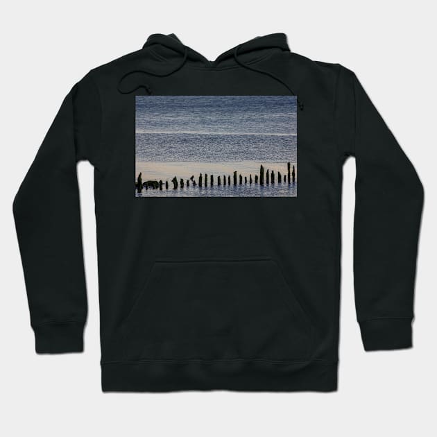 Wooden stumps in the River Clyde, Scotland Hoodie by mbangert